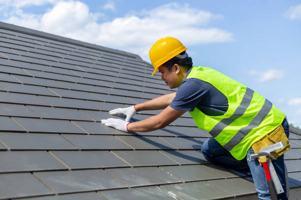 Best Roof Insulation Installation  in Edinburg, VA