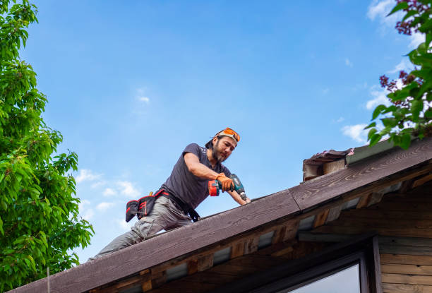 Fast & Reliable Emergency Roof Repairs in Edinburg, VA