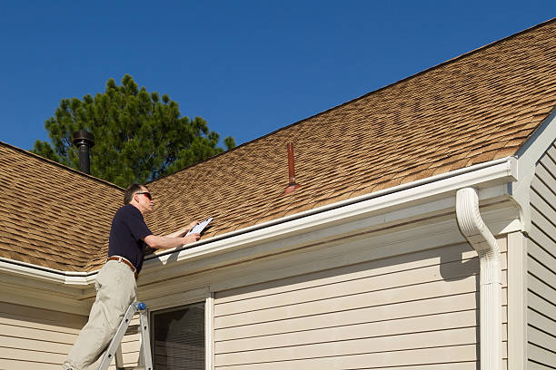 Best Roof Moss and Algae Removal  in Edinburg, VA