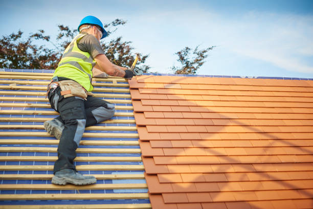 Best Roofing for New Construction  in Edinburg, VA