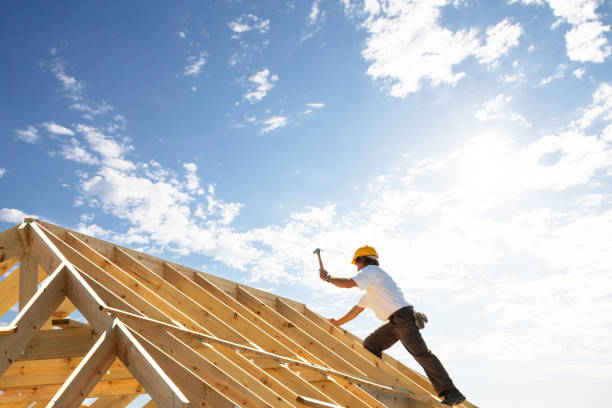 Best Roof Insulation Installation  in Edinburg, VA